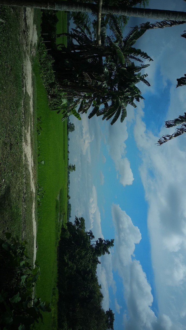 village scenary