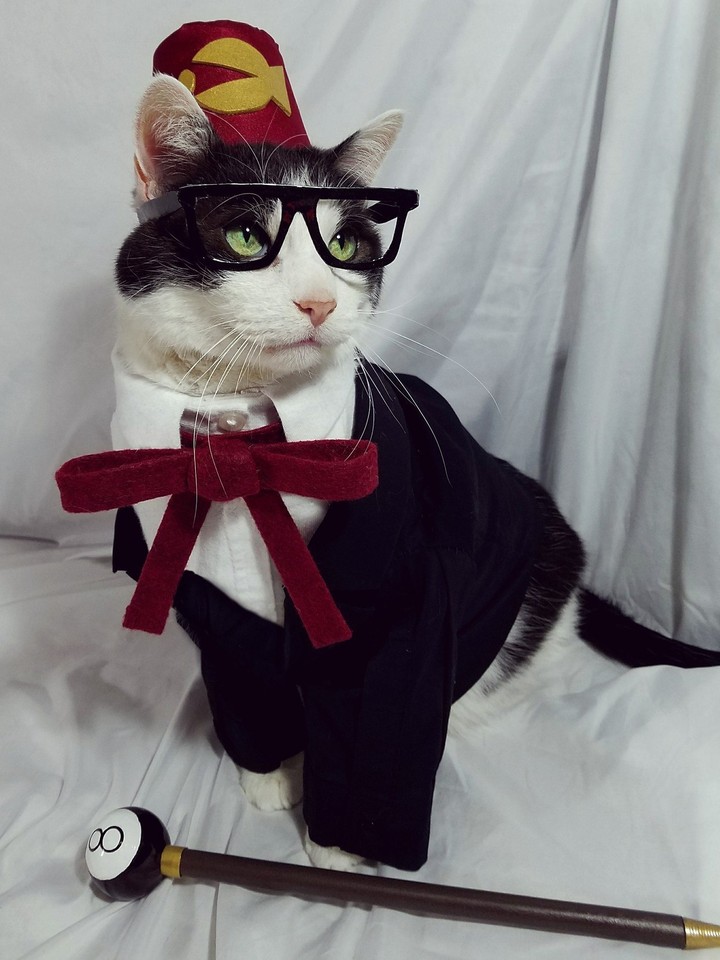 Котостен