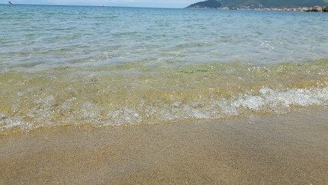 mare