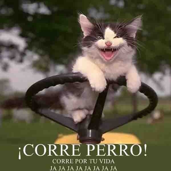 oaoaoaoaoaooaoaooaoaoaooaoao
