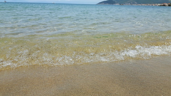 mare
