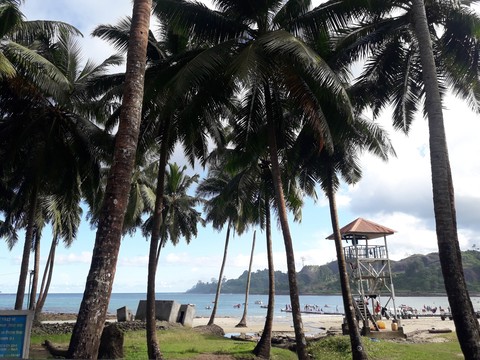 beach scene
