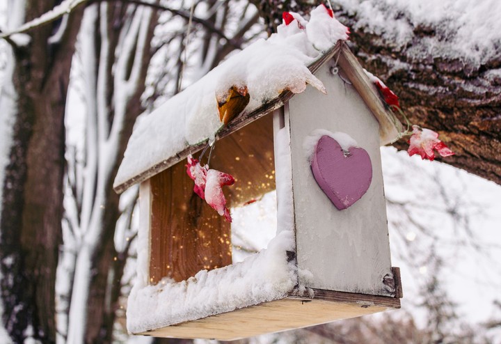 Birdhouse