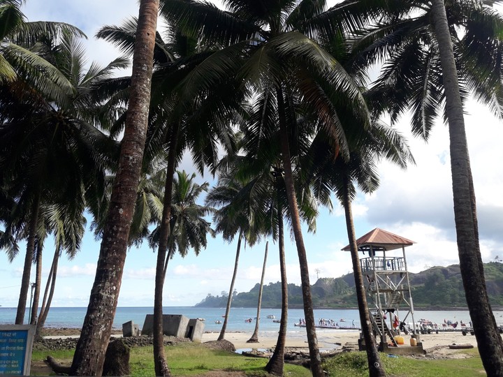 beach scene