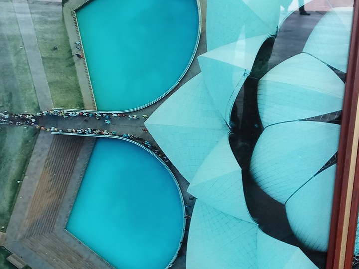 lotus temple