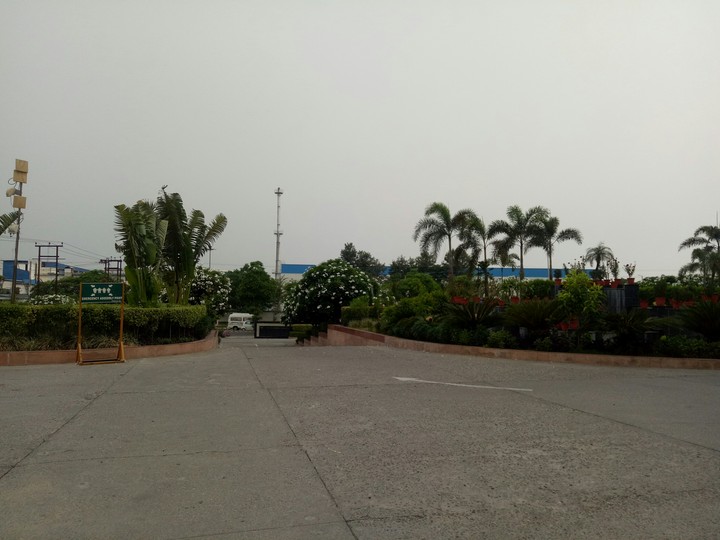view