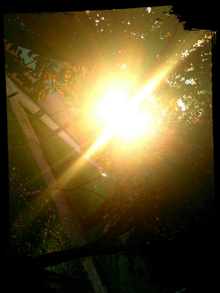 Golden three