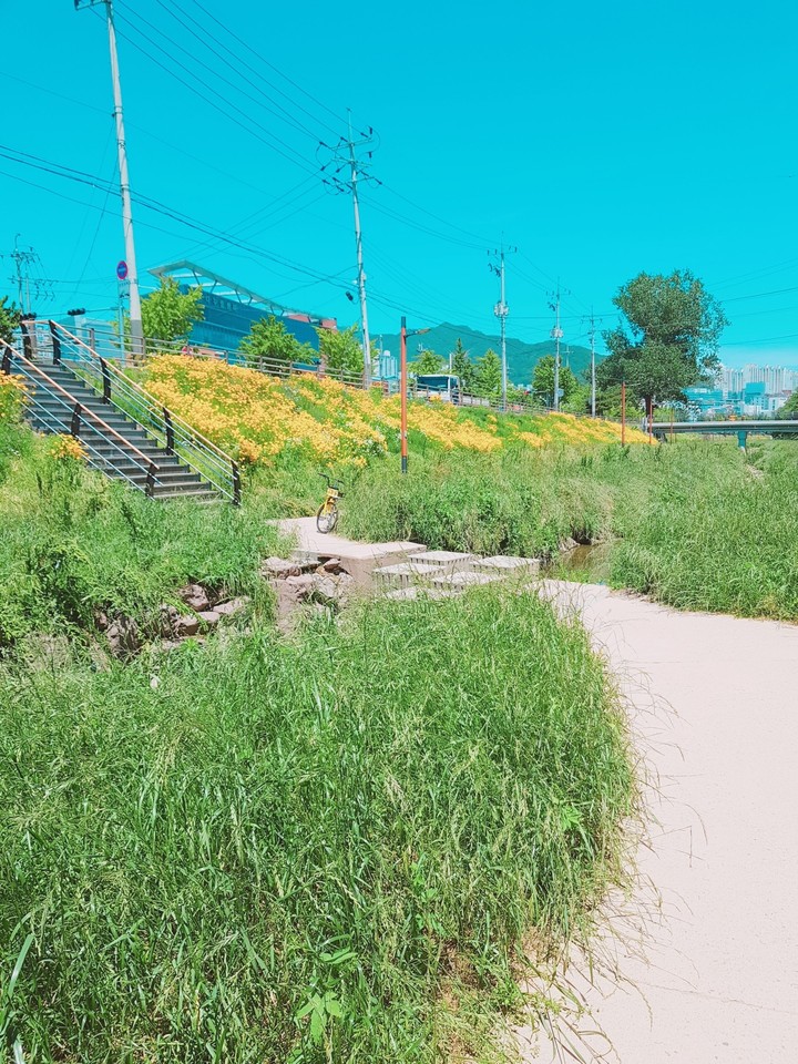 산책길