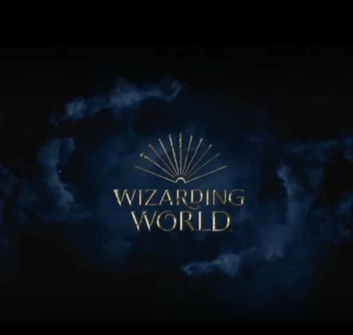 Wizarding World