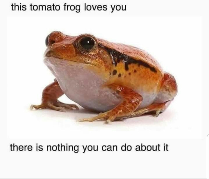 ♡