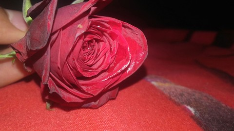 VALENTINE