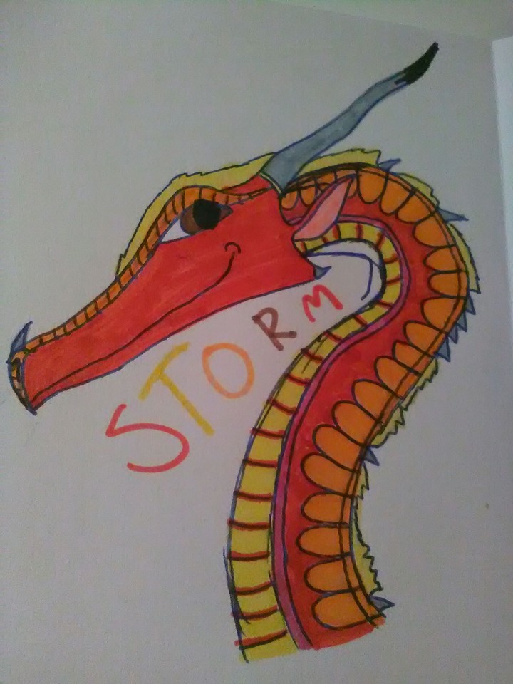 Storm the SkyWing