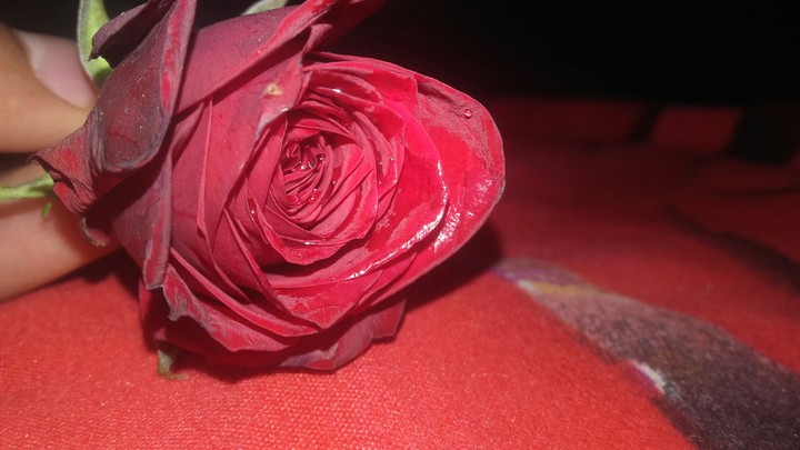 VALENTINE