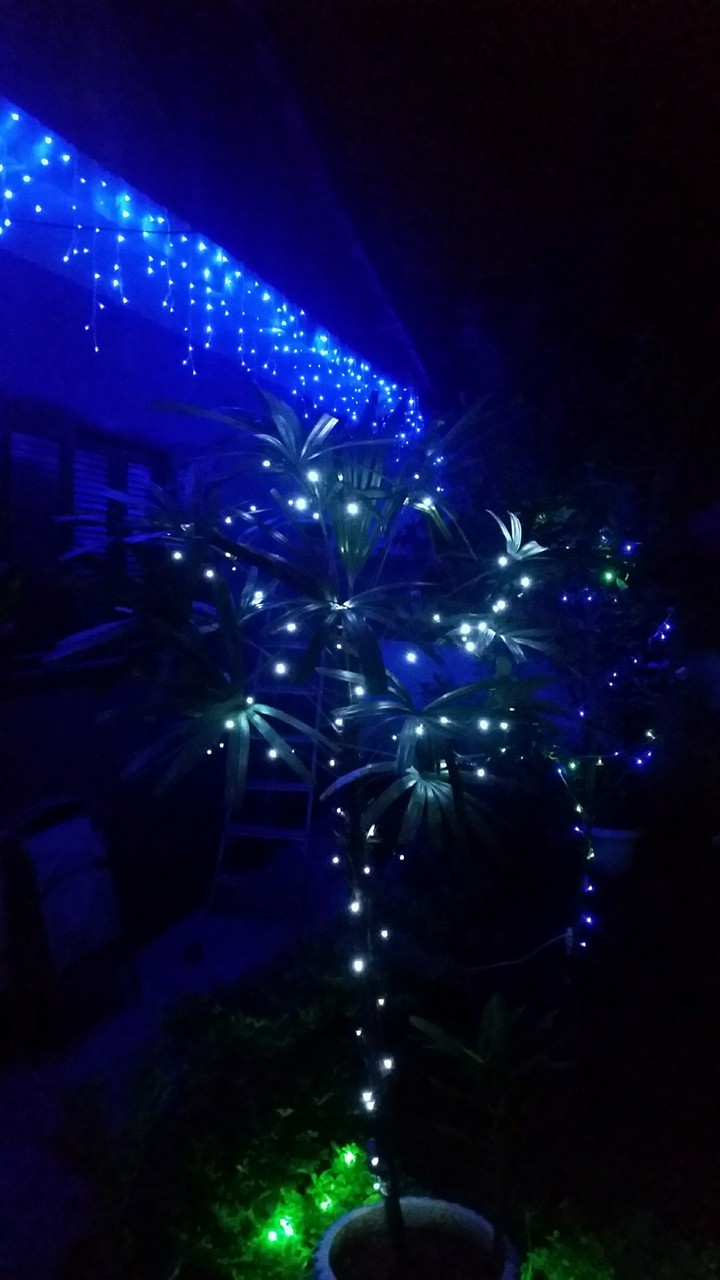 luzes