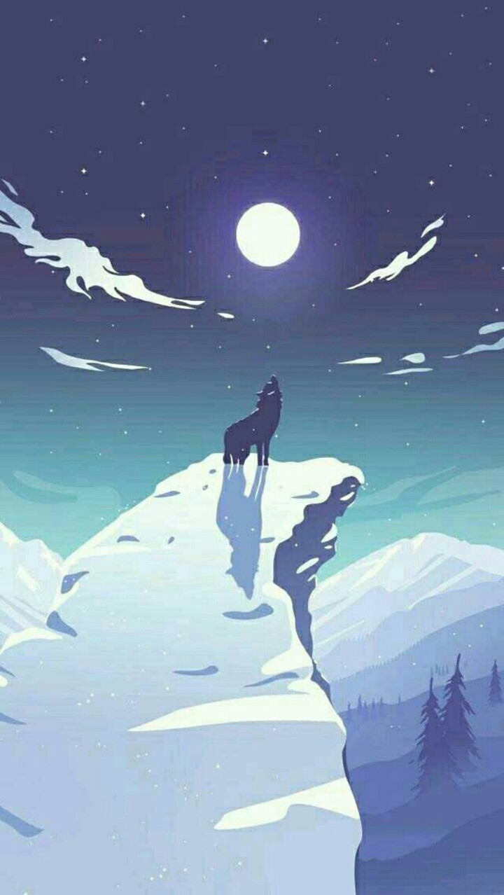 wolf