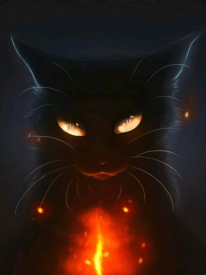 Gato Negro