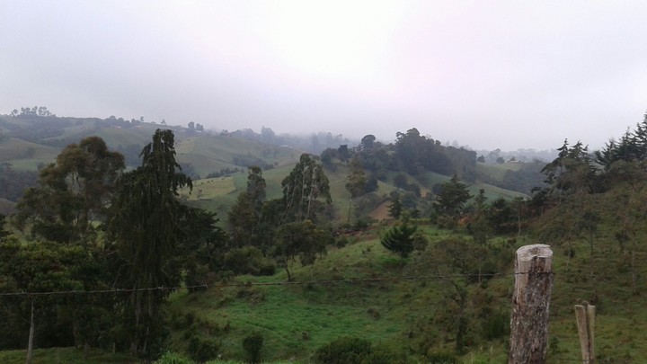 colom