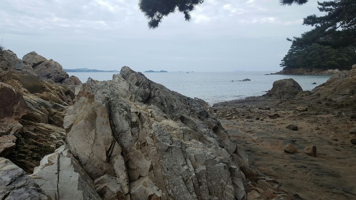 Rainy coast