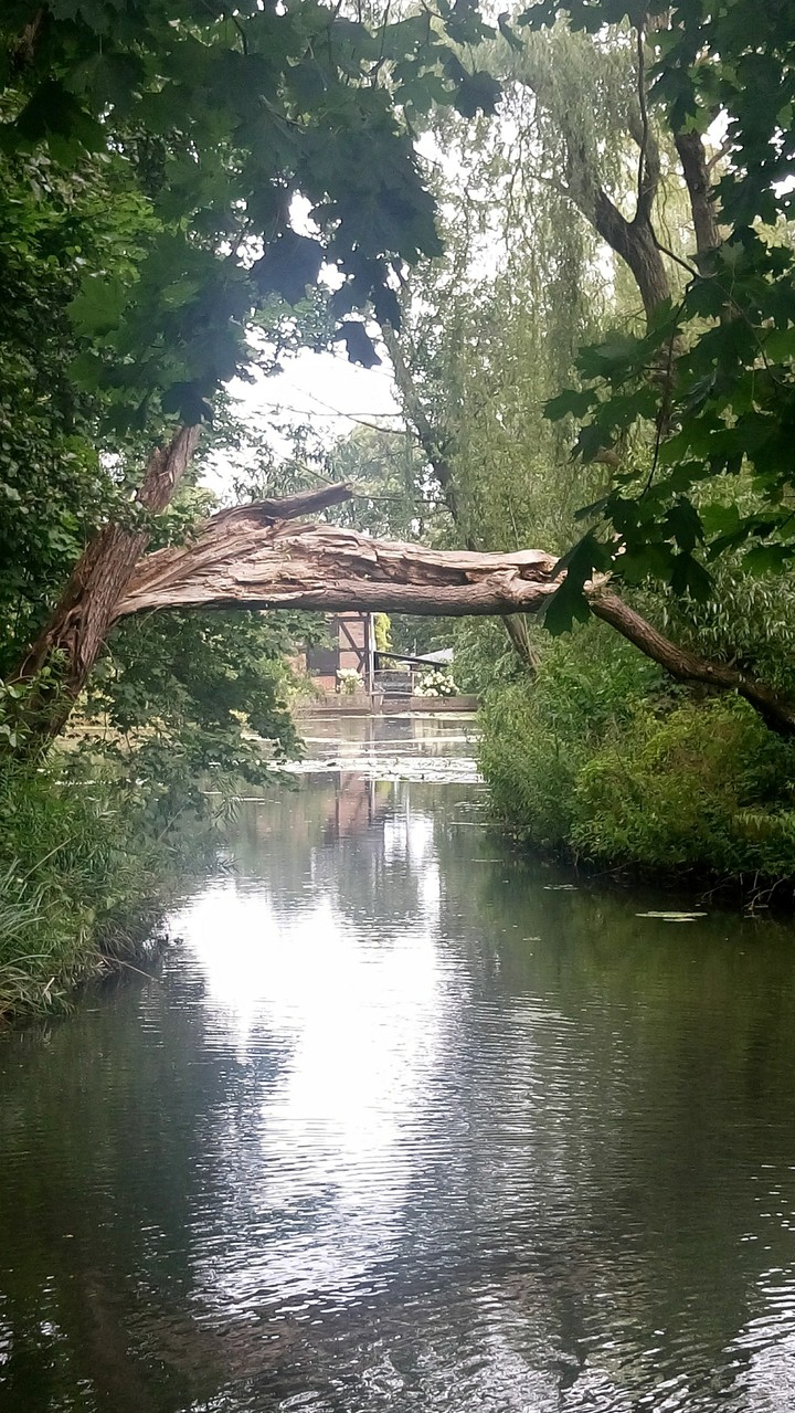 Oliwa Park