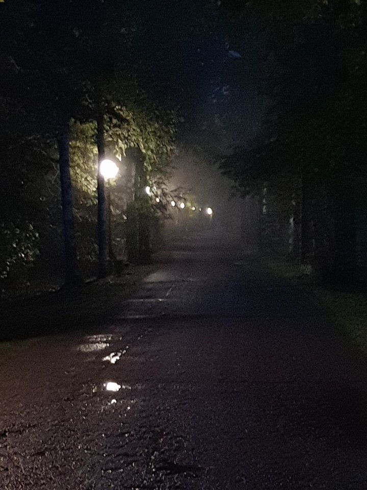 night