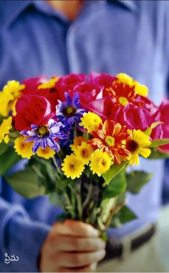 gift