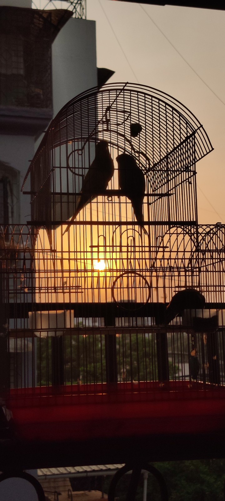 sunset in city