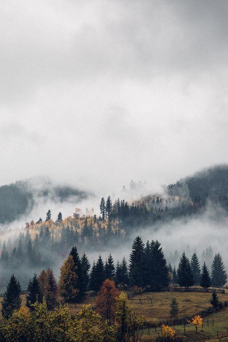 Foggy hills the eye can see