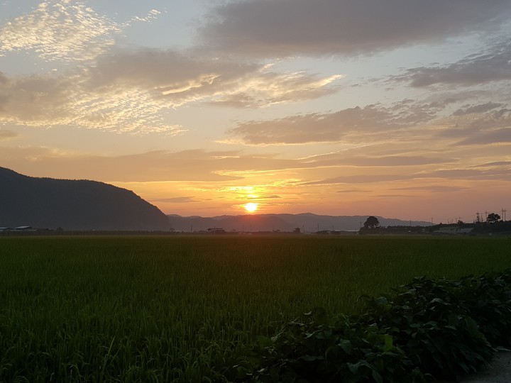 저녁노을