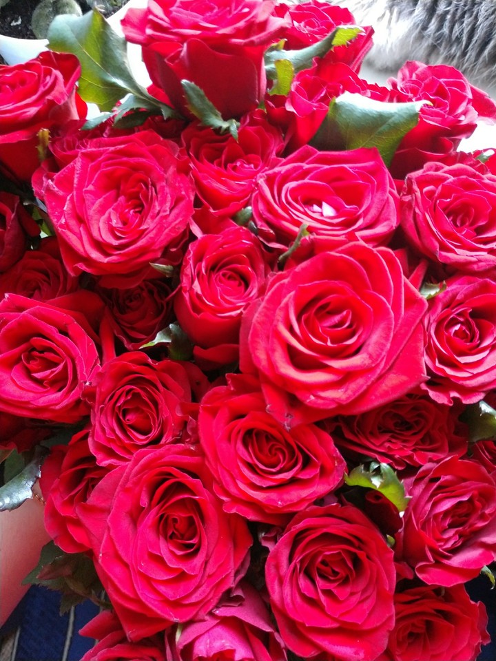 rose