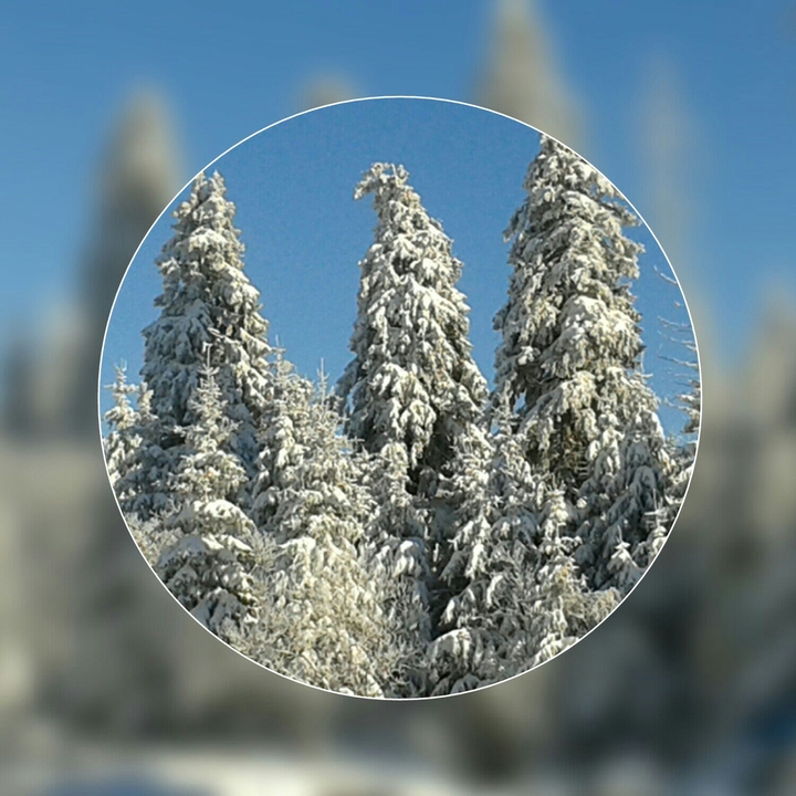 Winter im Harz
