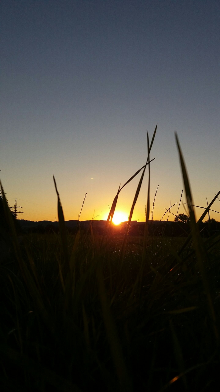 nice sunrise