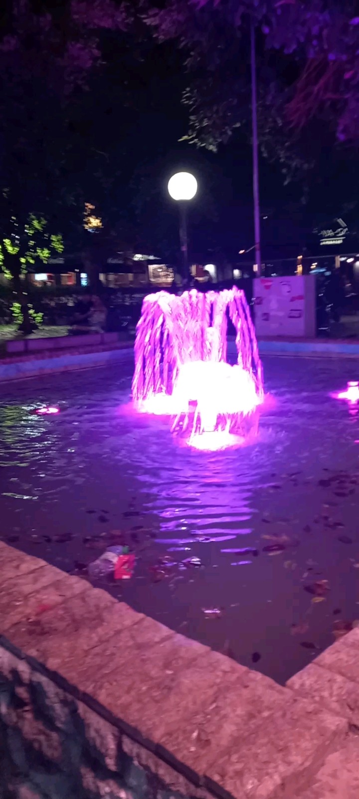 Summer Night