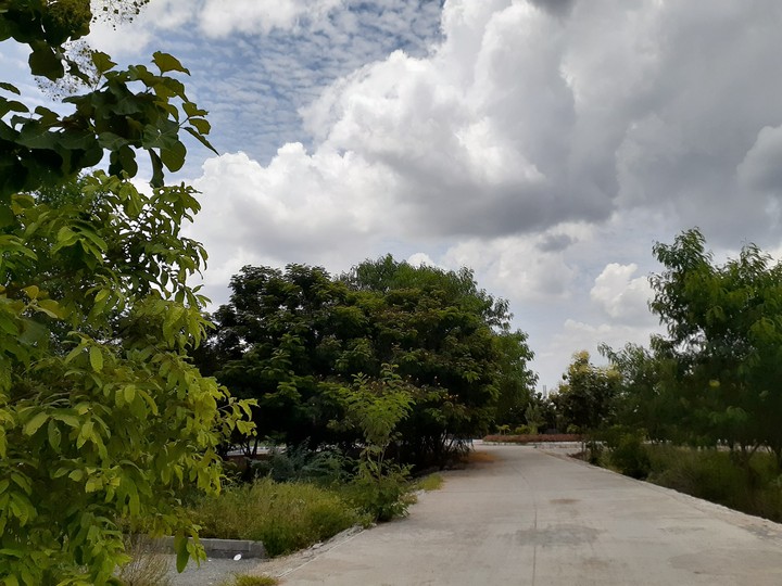 scene