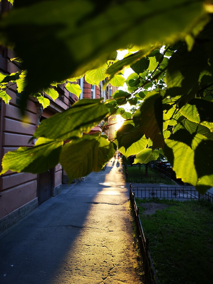 sunset in the city