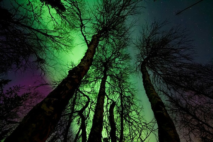 Northern light