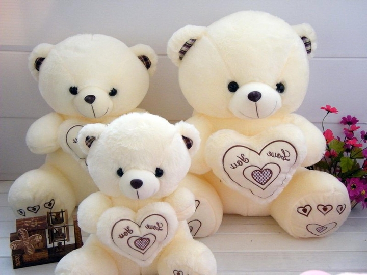 teddy
