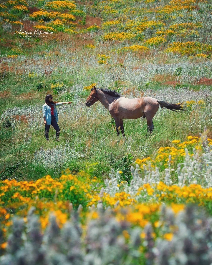 Astara Nature