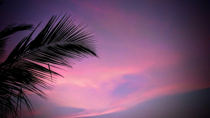 Evening