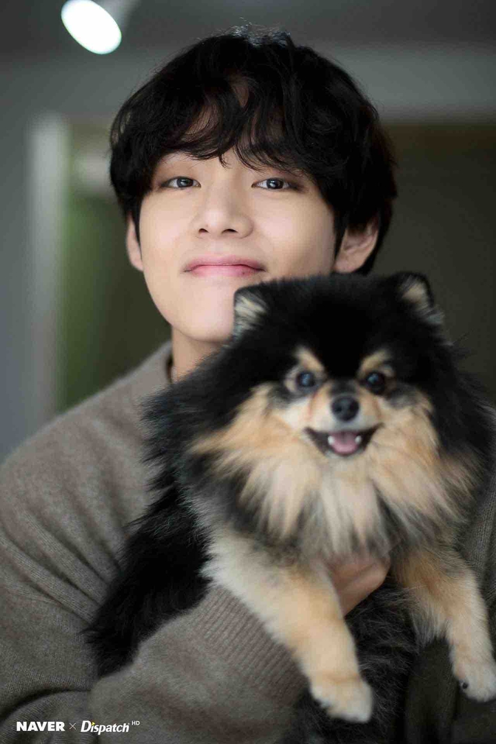 v with his pup "YEONTAN"..........