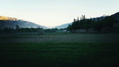 jurm
