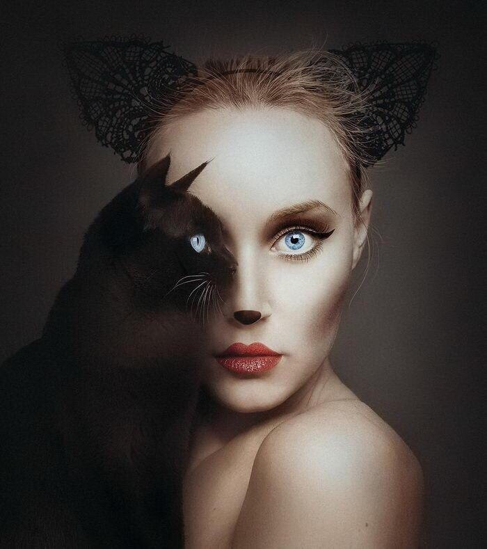 cat