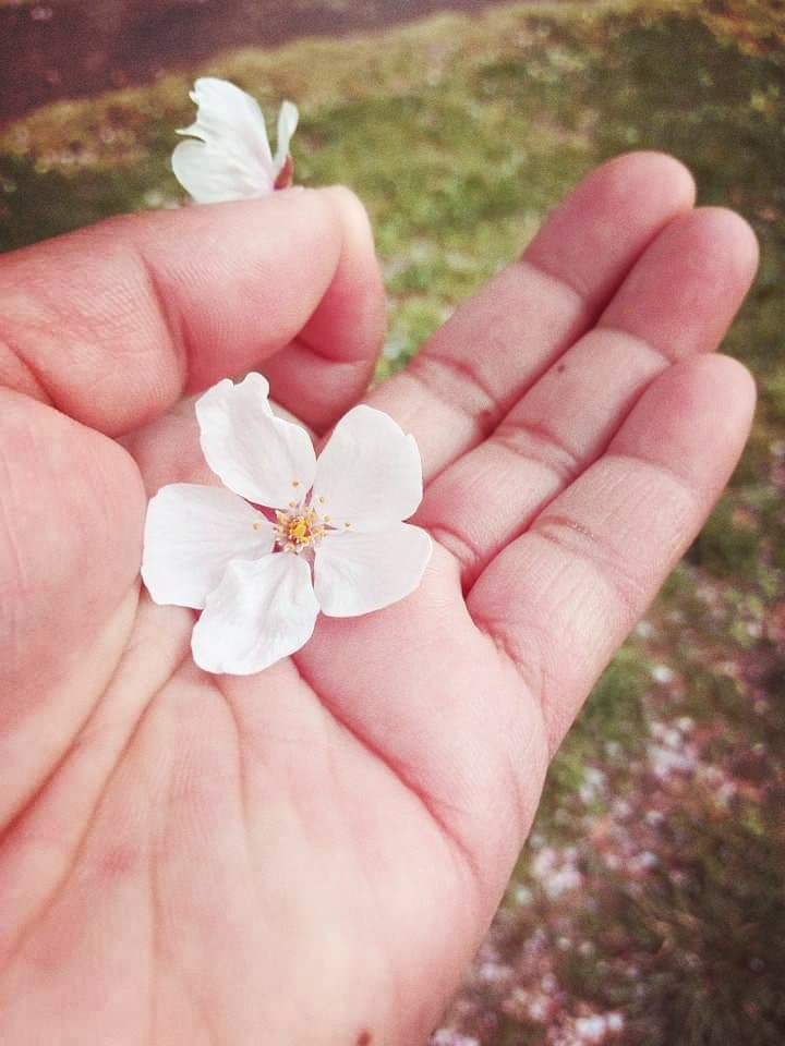 in my little hand