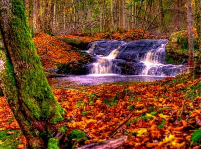 autum & water