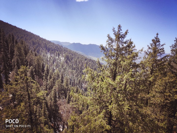 Nature