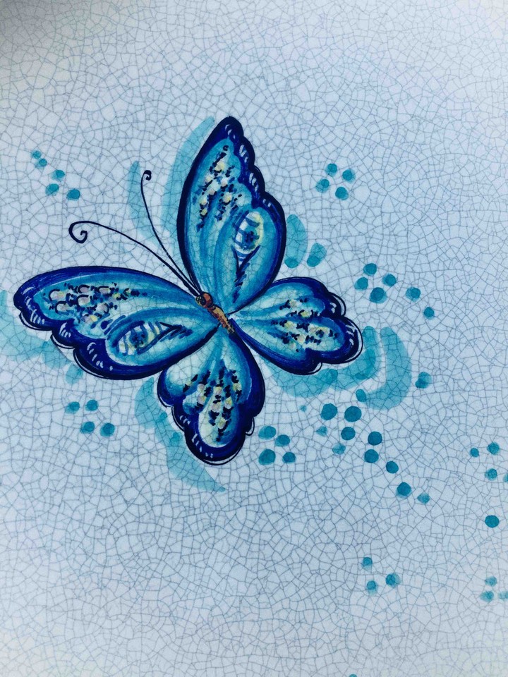 butterfly
