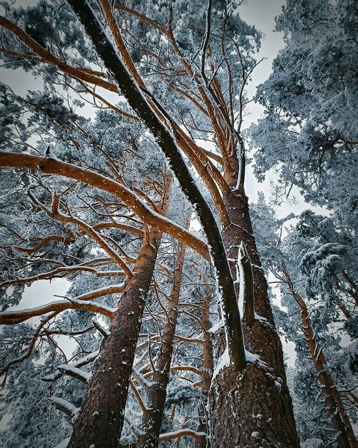 winter