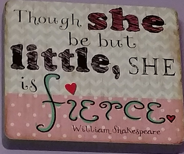 Shakespeare quote