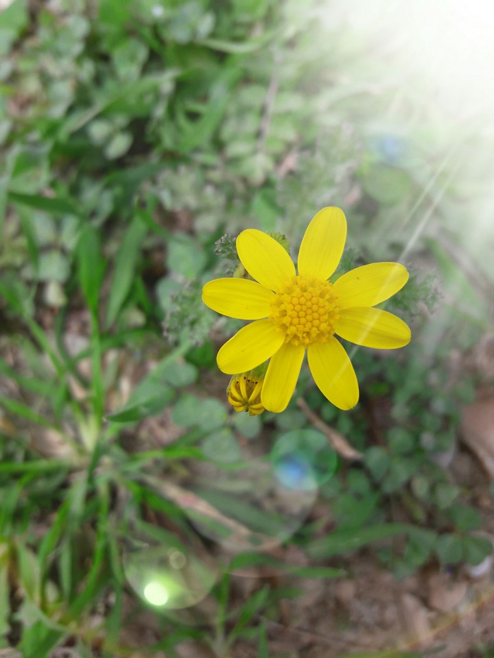 aaaa