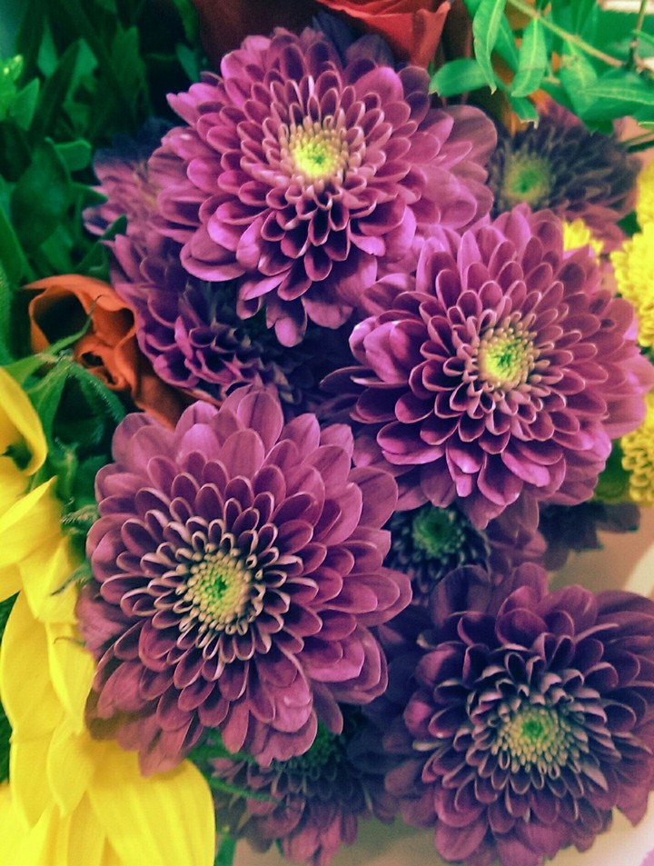 purple
