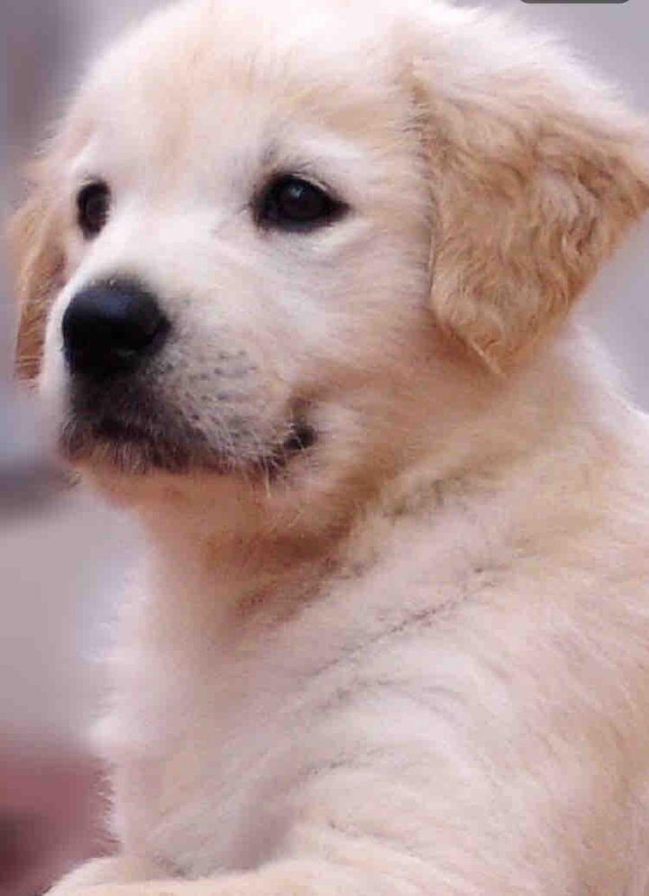 ㄱㅇㅈ